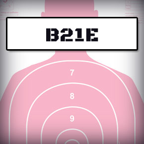b21e